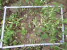 CE_355_4_1604b