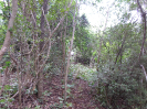 CE_358_2_1530