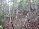 CE_358_4_1540