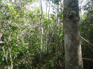 CE_359_1_4129