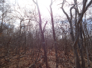 CE_35_4_2853
