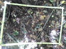 CE_360_1_5463d