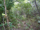 CE_376_0_4079