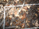 CE_4_2_2797c