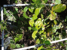 CE_4_3_2805a