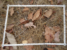CE_51_4_2618d
