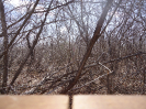 CE_53_4_2650