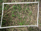 CE_57_2_3614a