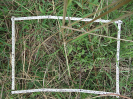 CE_57_2_3615b