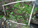 CE_58_4_2788b