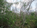 CE_60_3_2940
