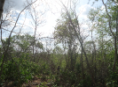 CE_60_4_2945