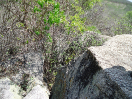 CE_62_2_2866