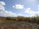 CE_65_2_2674