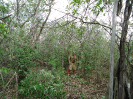 CE_77_0_2903