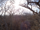 CE_83_4_2497