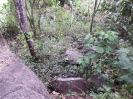 CE_85_J_2333