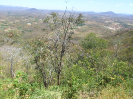 CE_85_P17_2427
