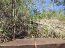 CE_85_P17_2434