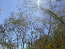 CE_85_P17_2445