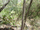 CE_85_P17_2447