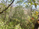CE_85_P17_2448