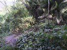 CE_85_P25_2345