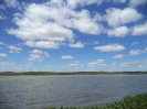 CE_85_P47_3_229