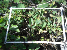 CE_86_P29_2_2809b