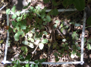 CE_86_P29_4_2819b