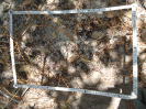 CE_87_2_2516a