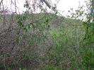 CE_88_4_1832