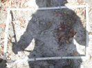 CE_8_L_3_2555b