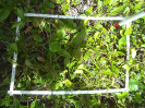 ES_38_3_724c (2)
