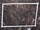 ES_79_1_5420d