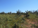 GO_104_F3_pan