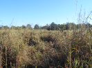 GO_106_F3_pan