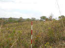GO_112_F3_pan