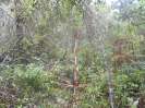 GO_116_Q147_F3_pan