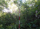 GO_116_R380_F3_pan