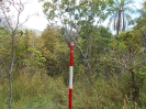 GO_116_R427_F3_pan