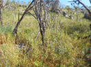 GO_116_R606_F3_pan