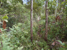 GO_116_R662_F5_1