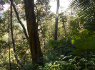 GO_116_R663_F3_pan