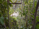 GO_116_R682_F3_pan