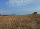 GO_122_F3_pan