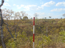 GO_123_F3_pan