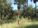 GO_124_F3_pan