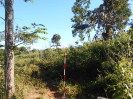 GO_133_F3_pan