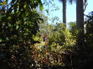 GO_134_F3_pan